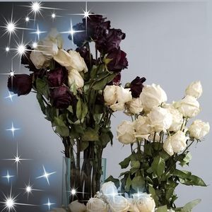 Meet your Posher, Esther